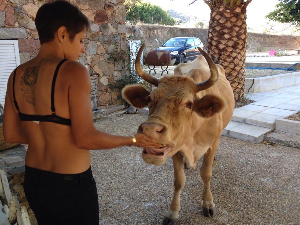 Ferme De Chiuni Villa Cargese Luaran gambar