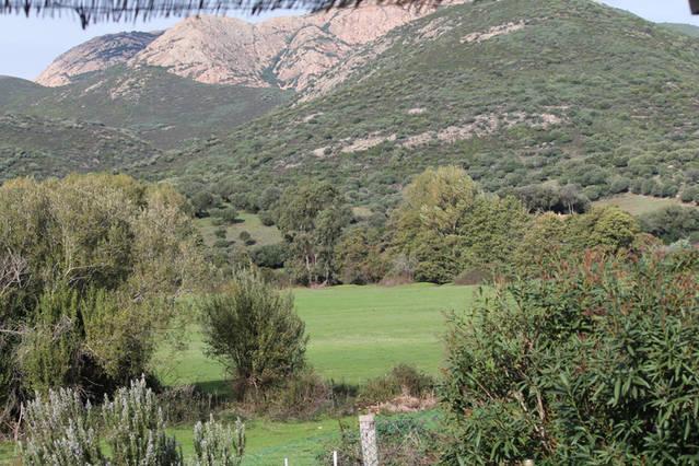 Ferme De Chiuni Villa Cargese Bilik gambar
