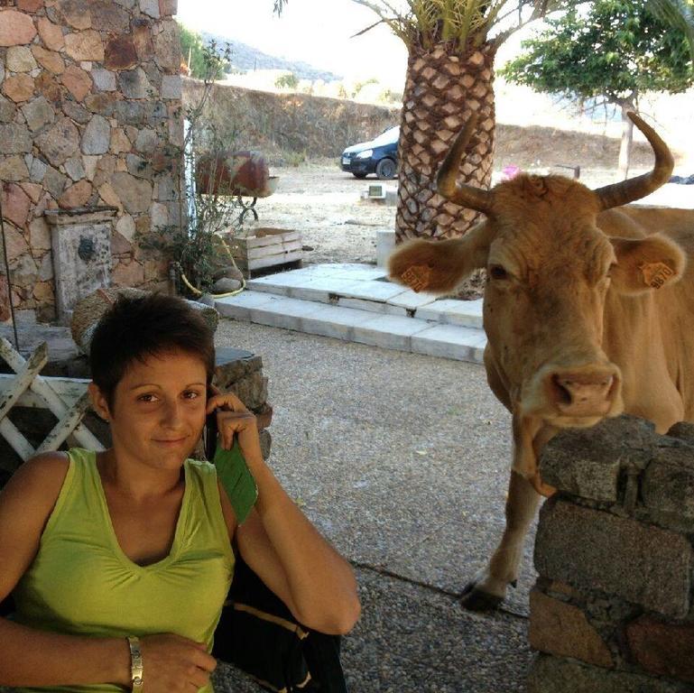 Ferme De Chiuni Villa Cargese Luaran gambar