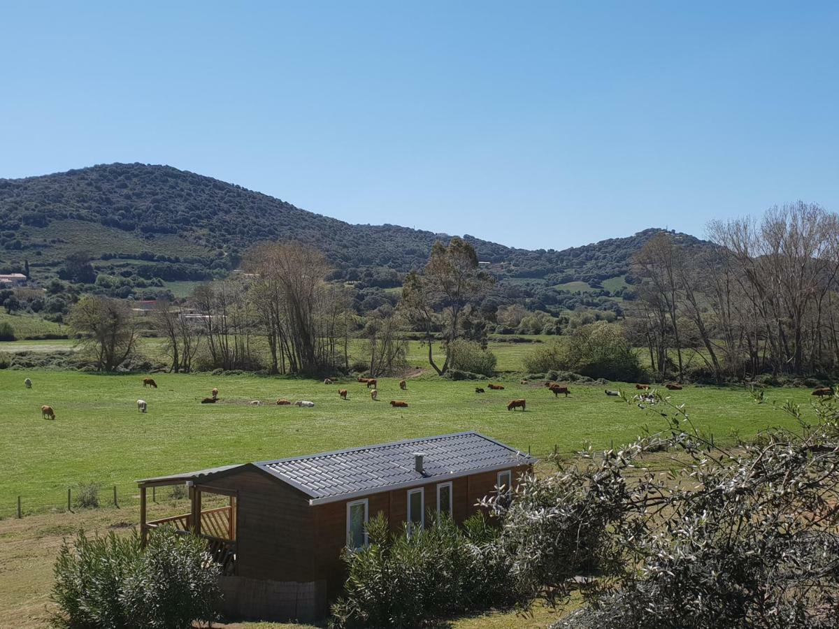 Ferme De Chiuni Villa Cargese Luaran gambar