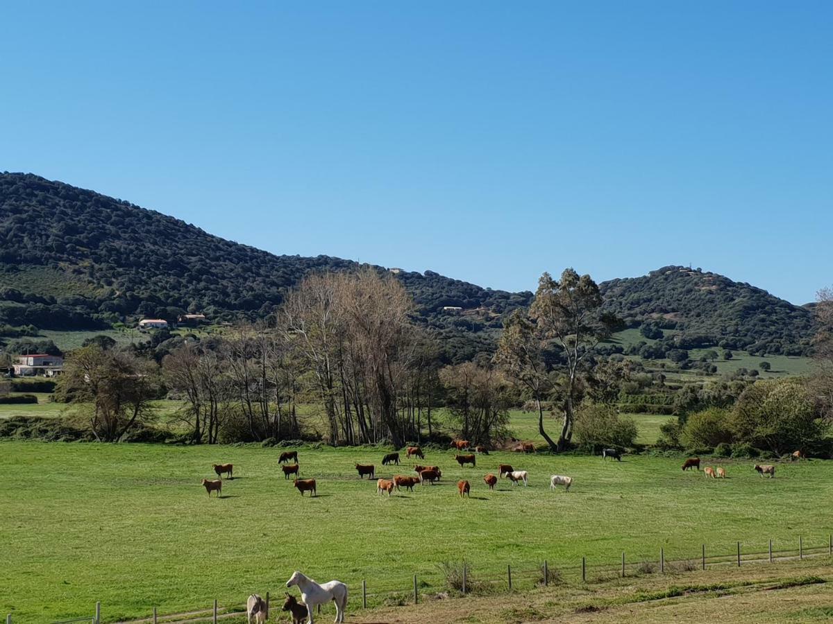 Ferme De Chiuni Villa Cargese Luaran gambar